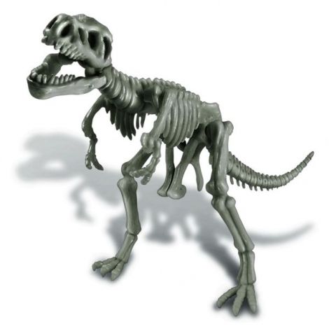 Set educativ Sapa si descopera Dinozauri - T-Rex