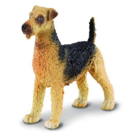 Terrierul Airedale – Collecta Collecta