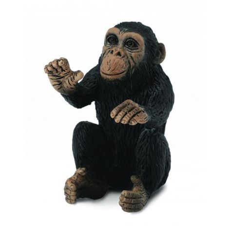 Cimpanzeu Pui - Collecta