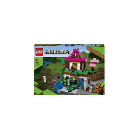 Lego Minecraft Terenul De Antrenament 21183