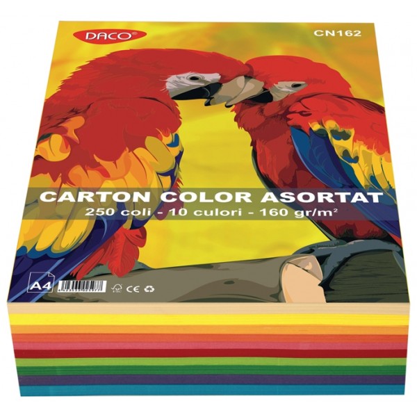 Carton A4 color asortat 10 culori