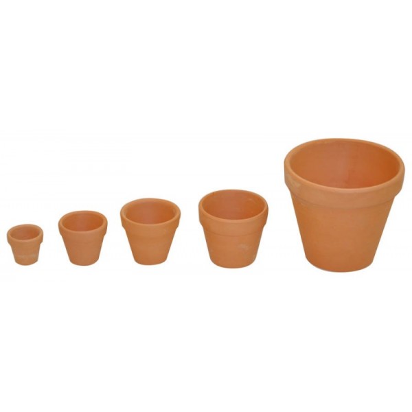 Set 10 ghivece lut 3 cm