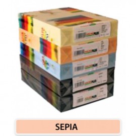 Carton color 160 gr A4 Sepia Somon – 250 coli DACO
