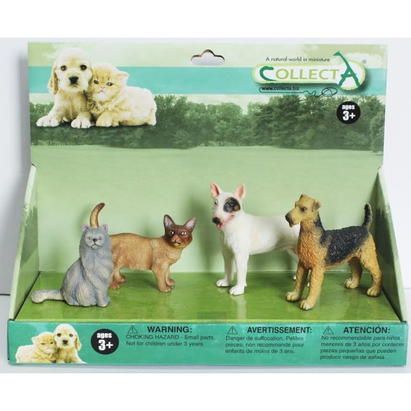 Set pisici si catei Collecta