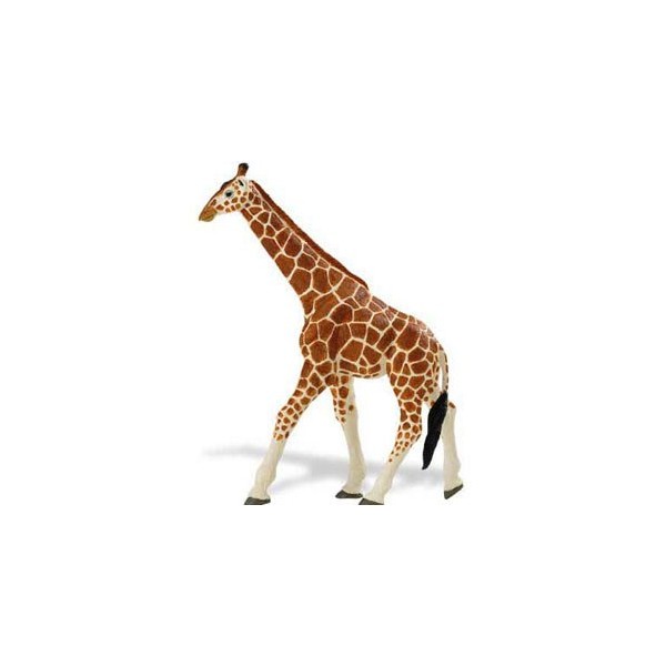 Girafa Somaleza
