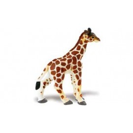 Pui de Girafa – 7 ookee.ro