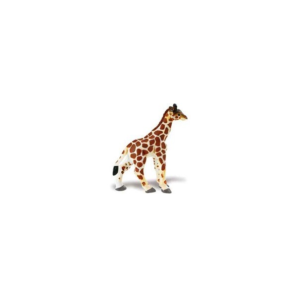 Pui de Girafa - 7