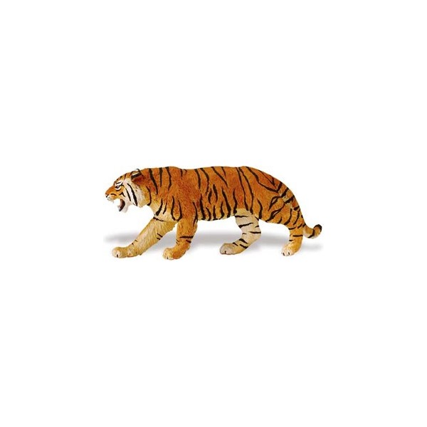 Tigrul Siberian - 15 x 6