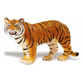 Tigru Bengalez – 14 ookee.ro