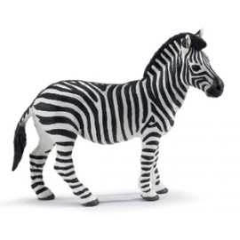 Zebra – 10 x 8 ookee.ro