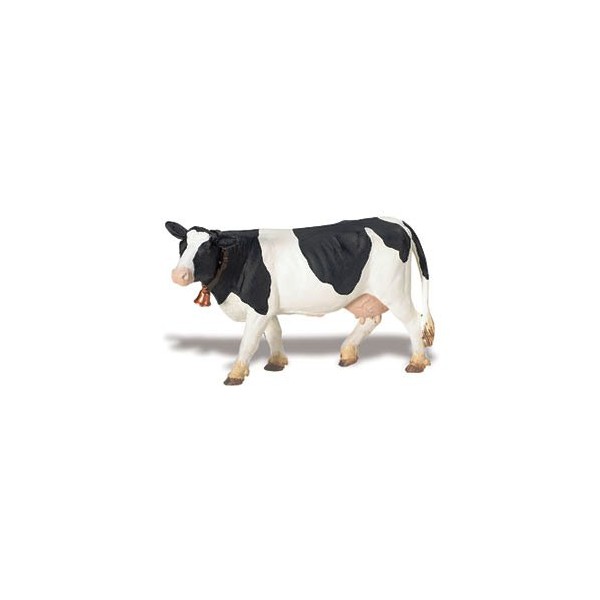 Vacuta Holstein