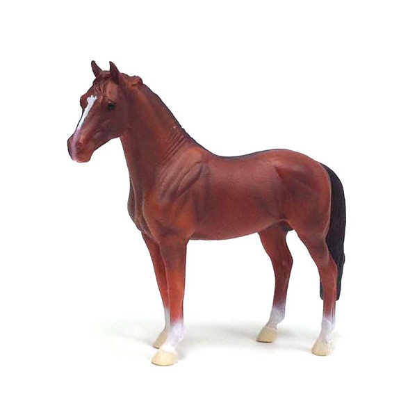 Armasar de Hanovra castaniu