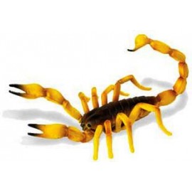 Scorpion imagine