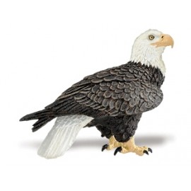 Vulturul Plesuv imagine