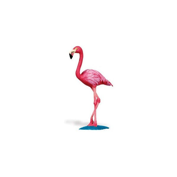 Pasarea Flamingo