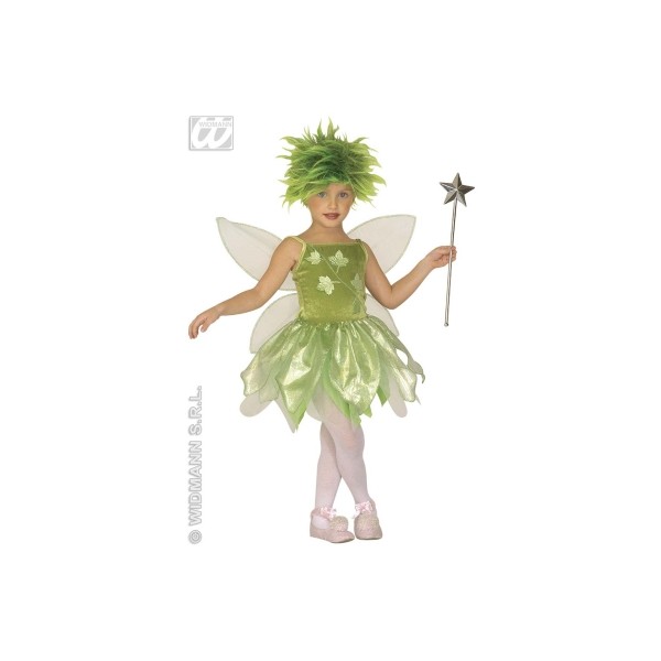 Costum carnaval Tinkerbell/Zana frunzelor