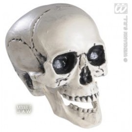 Decor Halloween - Craniu 25 cm